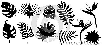 Silhouettes of different tropical leaves isolated on white. Vector Illustration