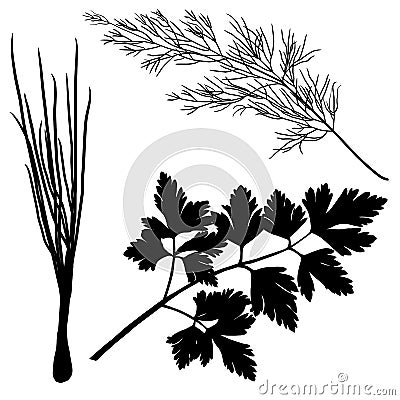 Silhouettes dill parsley onion Vector Illustration