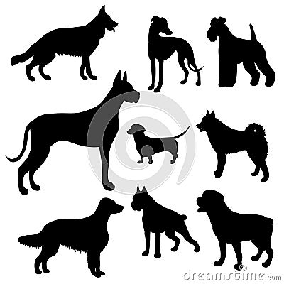 Silhouettes of dogs of different breeds Vector Illustration