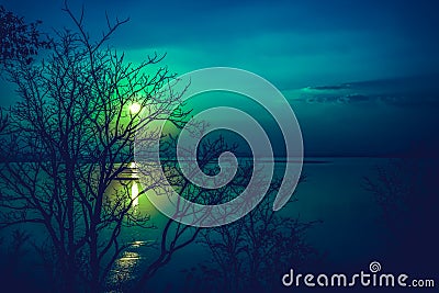 Silhouettes of dry tree against sky and cloud over tranquil sea. Stock Photo