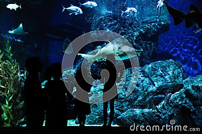 Silhouettes of family with two kids in oceanarium Stock Photo