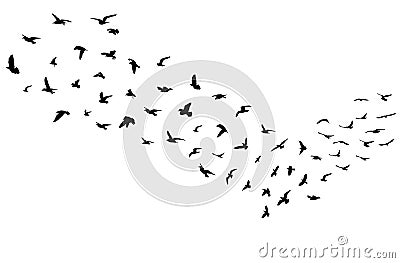 Silhouettes of flock of flying birds, migration. Vector illustration Vector Illustration
