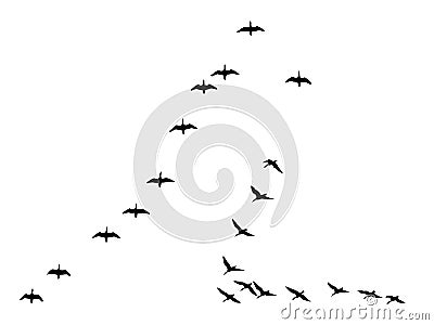 Silhouettes flock geese Vector Illustration