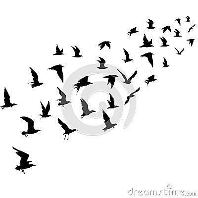 Silhouettes of flying birds Vector Illustration