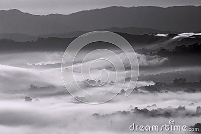 Silhouettes of foggy trees in mountains valley - black and white landscape background. Stock Photo