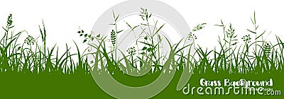 Silhouettes of green grass, spikes and herbs. Seamless border. Vector Illustration