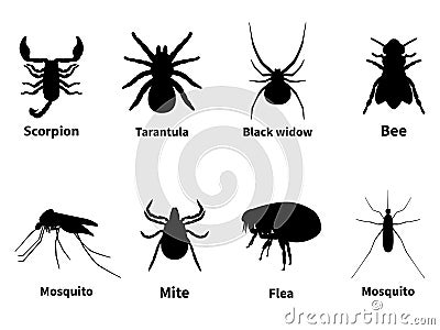 Silhouettes of harmful stinging insects Vector Illustration