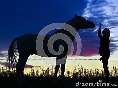 Silhouettes of the horse and the woman on a background of blue clouds in the evening Stock Photo