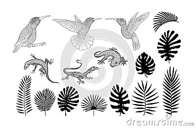 Silhouettes of lizards, gecko and tropical banana, palm, monstera leaves vector Vector Illustration