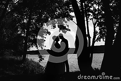 Silhouettes of a loving couple at sunset in nature Stock Photo