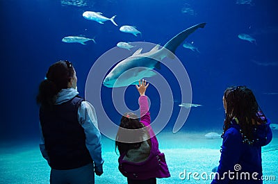 Silhouettes of mother with kids in oceanarium, family with children looking at shark and fishes in aquarium Stock Photo