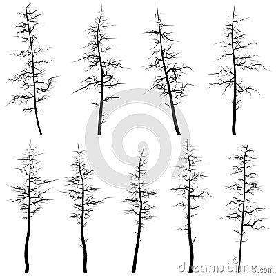 Silhouettes of old trees without leaves (deadwood). Vector Illustration