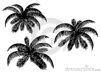 Silhouettes of palm leaves on a white background. Cartoon Illustration