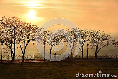 Silhouettes of people, trees and street lamps on the park path Stock Photo