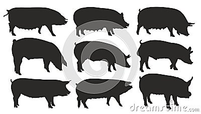 Silhouettes of pigs. Vector Illustration