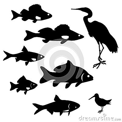 Silhouettes of river fish Vector Illustration