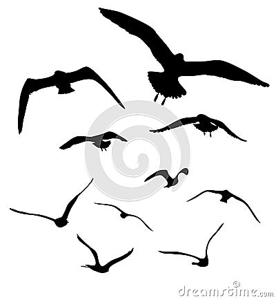 Silhouettes of seagulls flying Vector Illustration