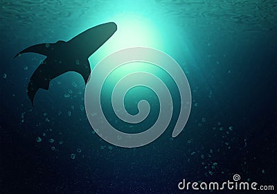 The silhouettes of shark swim at the level of the ocean. The dark deep ocean illuminates the sun Stock Photo