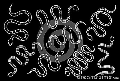 Silhouettes of snakes. Tropical toxic reptiles illustration. Dark snakes elements for tattoo design. Exotic rattlesnakes Vector Illustration