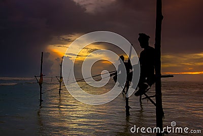 Silhouettes of the traditional Sri Lankan stilt fishermen Editorial Stock Photo