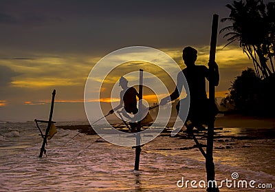 Silhouettes of the traditional Sri Lankan stilt fishermen Editorial Stock Photo