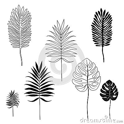 Silhouettes of tropical leaves. Vector Illustration