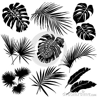 Silhouettes of tropical leaves. Vector Illustration