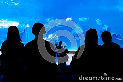 Silhouettes of two couples looking at fish in an aquarium Stock Photo