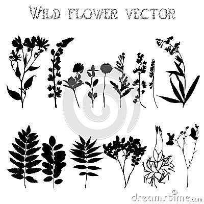 Silhouettes of wild flowers and leaves vector Vector Illustration