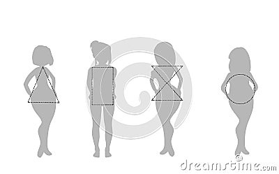 Silhouettes of women by type of figure. vector illustration. Vector Illustration