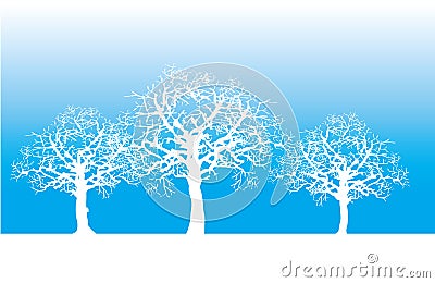 Silhouttes of trees Stock Photo