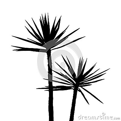 Silhuette Palm on the white background Vector Illustration