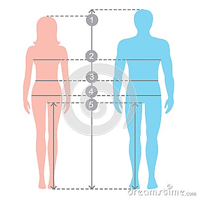 Silhuettes of man and women in full length with measurement lines of body parameters. Human body measurements and proportions. Vector Illustration