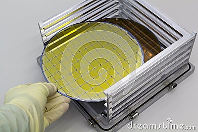 Silicon Wafers in steel holder box take out by hand in gloves- A wafer is a thin slice of semiconductor material, such as a Stock Photo