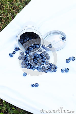 Silicone cup with fresh blueberries. Blueberry antioxidant Stock Photo