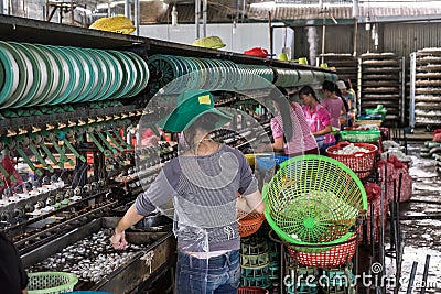 Silk factory workers Editorial Stock Photo