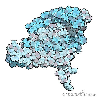 Silk fibroin fragment (N-terminal domain). Fibroin is one of the two main components of silk, produced by the silkworm (Bombyx Stock Photo