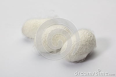 Silkworm cocoon Stock Photo