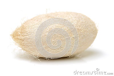 Silkworm cocoon Stock Photo