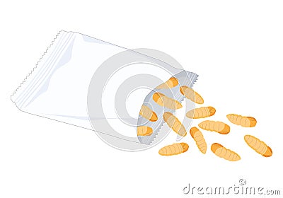 Silkworm Pupa Chrysalis insects for eat as food deep-fried crispy snack in a foil wrap bag ready to eating for take away. It is Vector Illustration