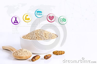 Silkworm Pupae Bombyx Mori powder items made of cooked insect meat for eating as food edible and media icon nutrition on white Stock Photo