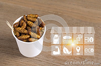 Silkworm Pupae insects for eating as food with icons media nutrition. Chrysalis silk worm deep-fried snack in disposable cup for Stock Photo