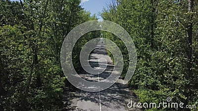 Siluetta dell'uomo Cowering di affari Sorvolare i bei alberi forestali e strada Colpo della camera aerea Panorama del paesaggio stock footage Siluetta dell'uomo Cowering di affari Sorvolare i bei alberi forestali e strada Colpo della camera aerea Panorama del paesaggio stock footage