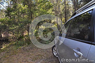 A silver 4WD car facing bushland area Stock Photo