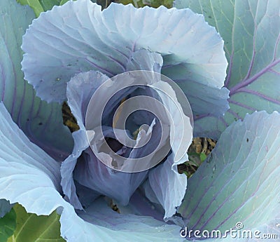 Silver-Blue Spiral Stock Photo