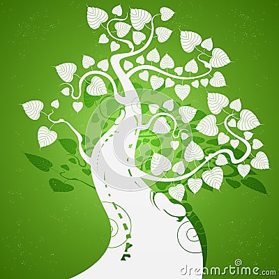 Silver Bodhi tree Stock Photo