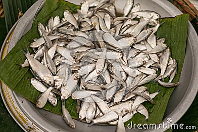 Silver color chapila fish displayed in a green leaf for sell in local fish market Stock Photo