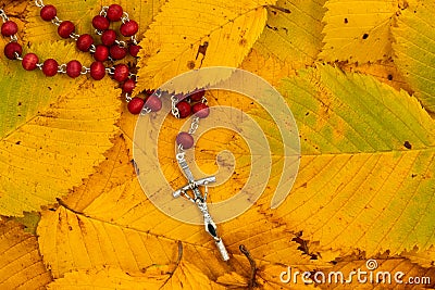 Silver crucifix under fallen leaves Stock Photo