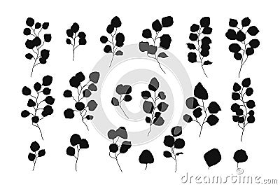 Silver dollar eucalyptus silhouette leaves floral branches vector Vector Illustration