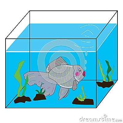 Silver fish in a beautiful aquarium Vector Illustration